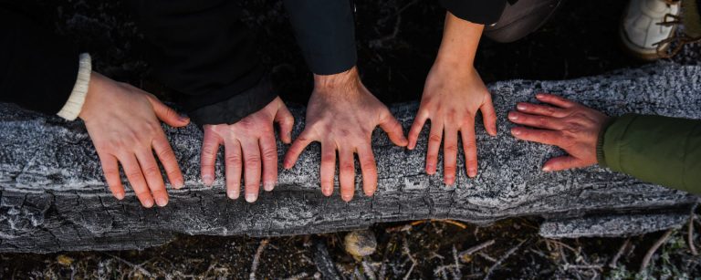 Kulttuurikeinu osuuskunta